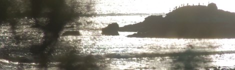 Photo By Sarah Nean Bruce 2006-1225