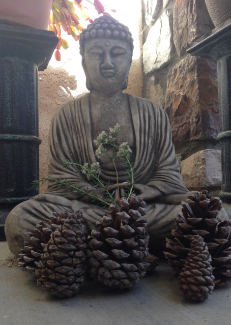 PHOTO_2014_11-20_HAIKU_late autumn walks-IMG_5957