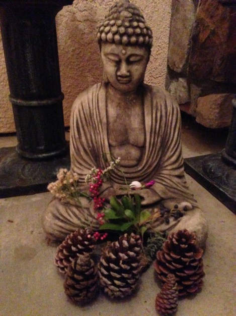 late autumn walks photo by sarahneanbruce